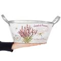 Blumenschale mit Griffen oval Metall Lavendel 32×15×15cm | Floristik24.de