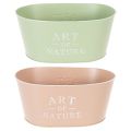 Blumenschale oval Zink 27×18cm H12,5cm Verschiedene Farben | Floristik24.de