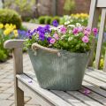 Blumentopf mit Griffen Tasche Metall Jute 24,5×17×15,5cm | Floristik24.de