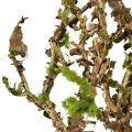 Deko Ast mit Moos Künstlich Herbstdeko Grau Grün L78cm | Floristik24.de