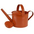 Metall Deko Gießkanne im Landhausstil Orangebraun 26cm 5L - Vielseitig einsetzbar als Pflanzgefäß & Dekokanne | Floristik24.de