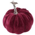Deko Kürbisse Beflockt Burgund Rosa Ø13cm H11,5cm 3 St | Floristik24.de