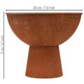 Deko Schale mit Fuß Pokalschale Rost Metall Ø20,5cm 2St | Floristik24.de