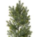 Floristik24 Tannenzweig künstlich Girlande für kreative Floristik 175cm