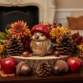 Dekofigur Vogel mit roter Apfel-Mütze Herbstdeko 13cm | Floristik24.de