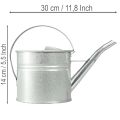 Vintage Deko Gießkanne Metall Silber 1,25l Pflanzgefäß | Floristik24.de