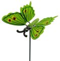 Floristik24 Schmetterling am Stab 17cm grün