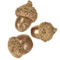 Herbstfrüchte Golden, festlicher Herbstschmuck, Deko-Eicheln natürlich, Adventsdeko Ø1,5 – 2,5cm L1,5 – 3cm 300g | Floristik24.de