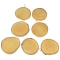 Holzscheiben mit Rinde Birkenscheibe Natur Ø9-10cm 7 St | Floristik24.de