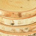 Holzscheiben mit Rinde Birkenscheibe Natur Ø9-10cm 7 St | Floristik24.de
