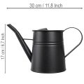 Schicke Kleine Deko Gießkanne Schwarz Metall 30x13x17cm 1,7l Pflanzgefäß Wohnung Balkon Dekoration | Floristik24.de