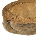 Kokosnuss als Pflanzschale Natur Pflanztopf 20cm 5 St | Floristik24.de