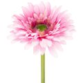 Floristik24 Künstliche Blumen Gerbera Garten Kunstblumen Rosa 47cm 6St
