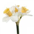 Künstliche Narzissen Seidenblumen Weiß Osterglocke 40cm 3St