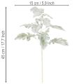 Künstlicher Senecio Zweig Silberblatt Greiskraut detailreich 45cm 3St | Floristik24.de