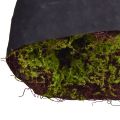 Künstliches Moos Große Moosmatte Braun Grün 100×50cm | Floristik24.de