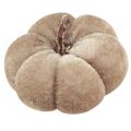 Kürbis Deko Stoffkürbisse Gelb Beige Rotbraun Ø7cm 9 St | Floristik24.de