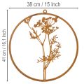 Metallring Edelrost Dekoring Wanddeko Dillzweig Ø38cm | Floristik24.de