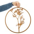Metallring Edelrost Dekoring Wanddeko Dillzweig Ø38cm | Floristik24.de