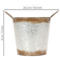 Pflanzgefäß aus Metall, Blumenschale, Pflanztopf mit Henkeln Silbern, Edelrost Ø18cm H20cm | Floristik24.de