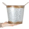 Pflanzgefäß aus Metall, Blumenschale, Pflanztopf mit Henkeln Silbern, Edelrost Ø18cm H20cm | Floristik24.de