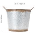 Pflanztopf mit Griffen, Deko-Schale Rostdeko, Metallgefäß Silbern Ø26cm H25,5cm | Floristik24.de