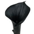 Floristik24 Deko-Calla Schwarz 75cm